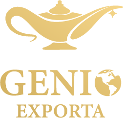 Logo principal do site Gênio Exporta